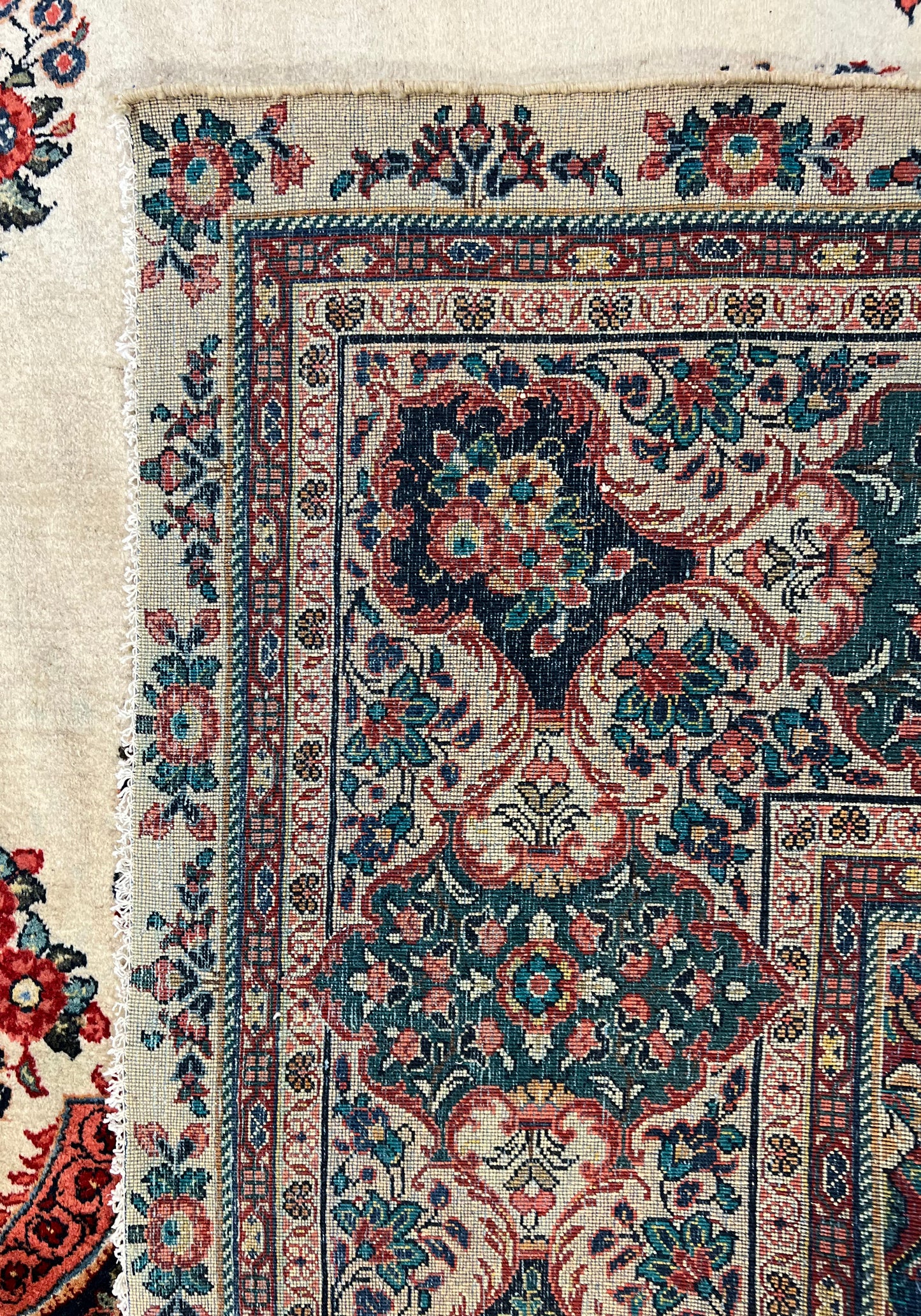 Carmania semi-antique, vers 1960