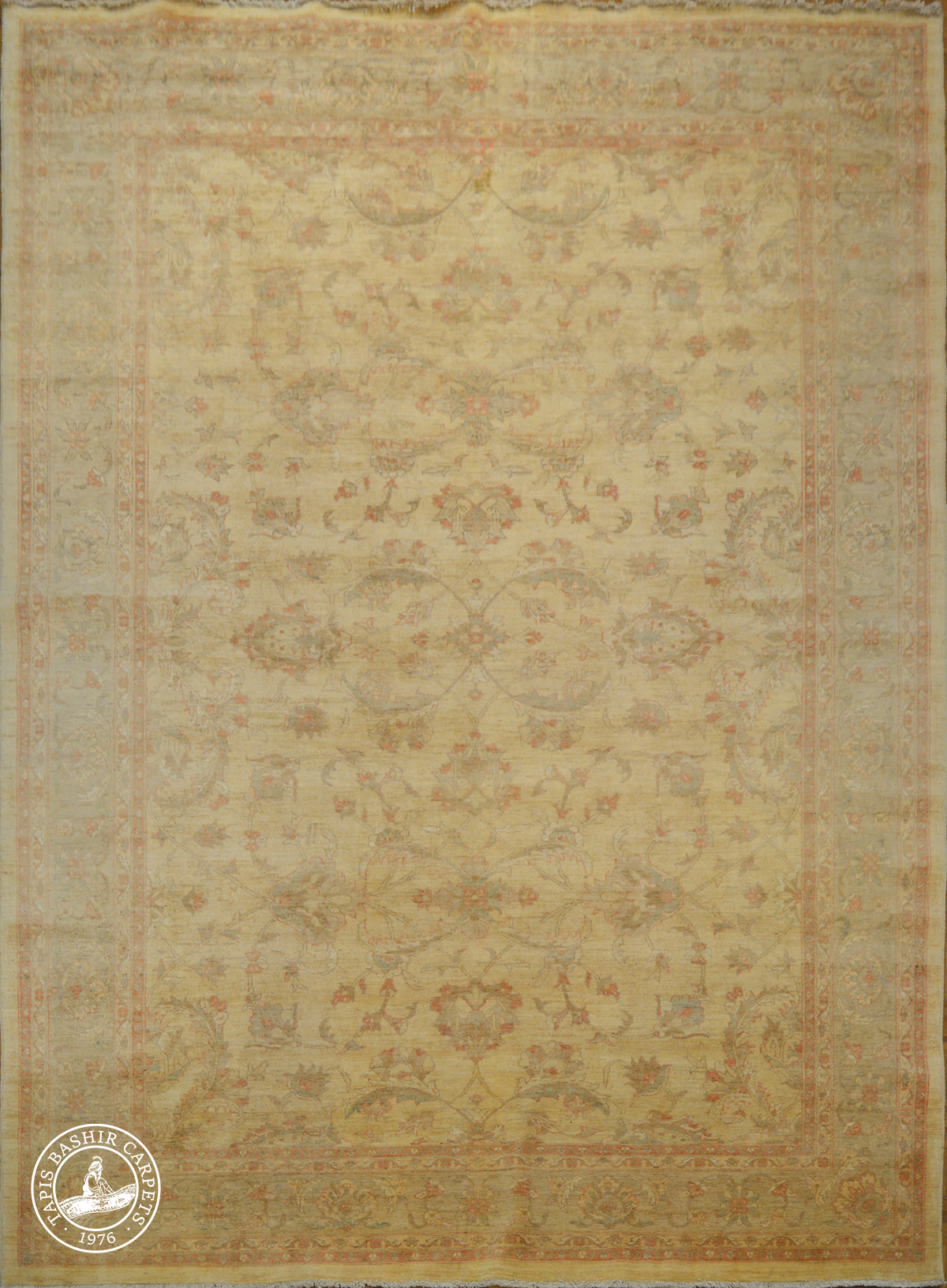 Paktika Carpet