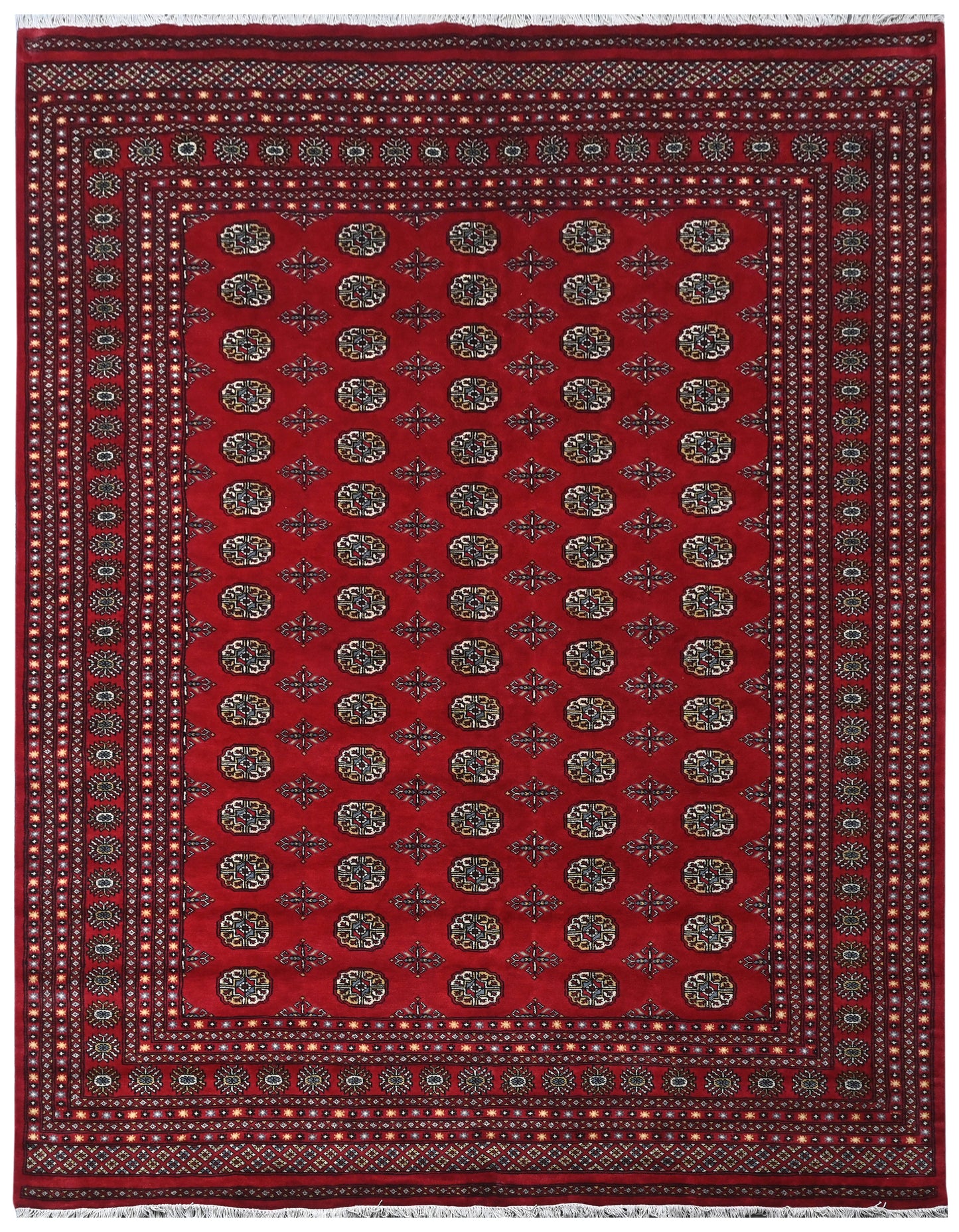Bokhara Mauri
