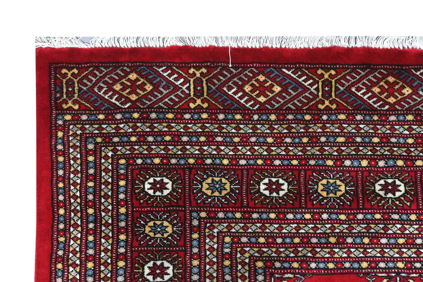 Bokhara Mauri