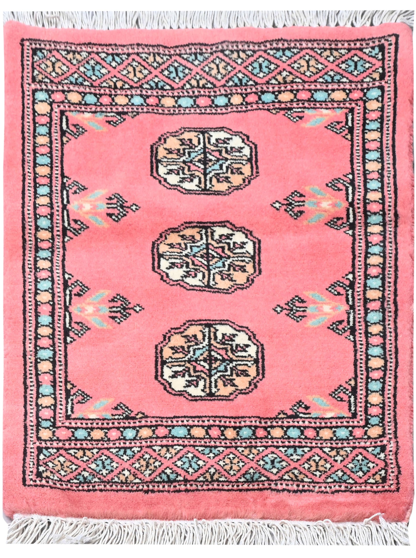 Bokhara Mauri