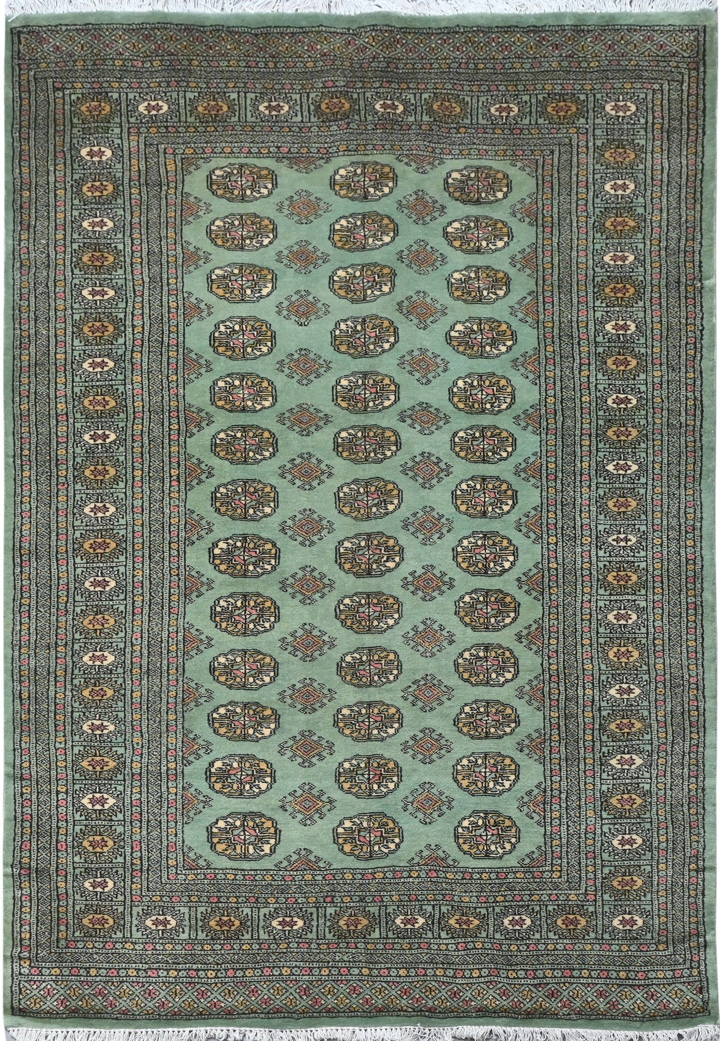 Bokhara Mauri