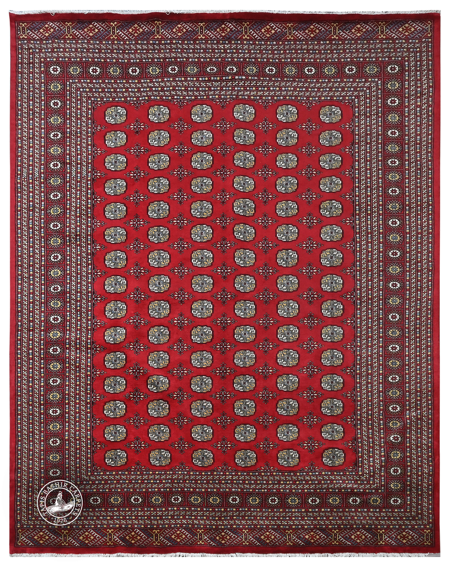 Bokhara Mauri