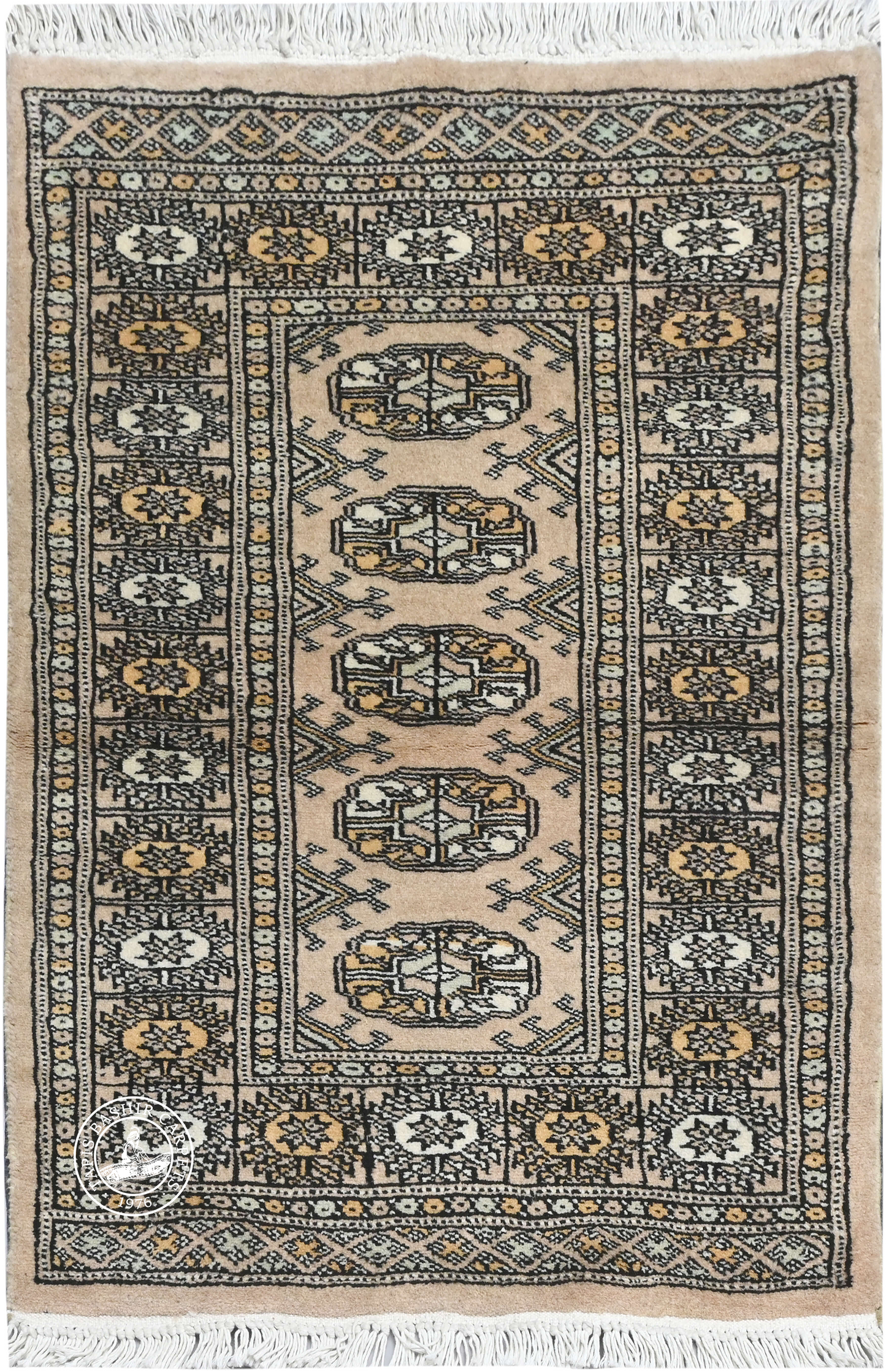 Bokhara Mauri