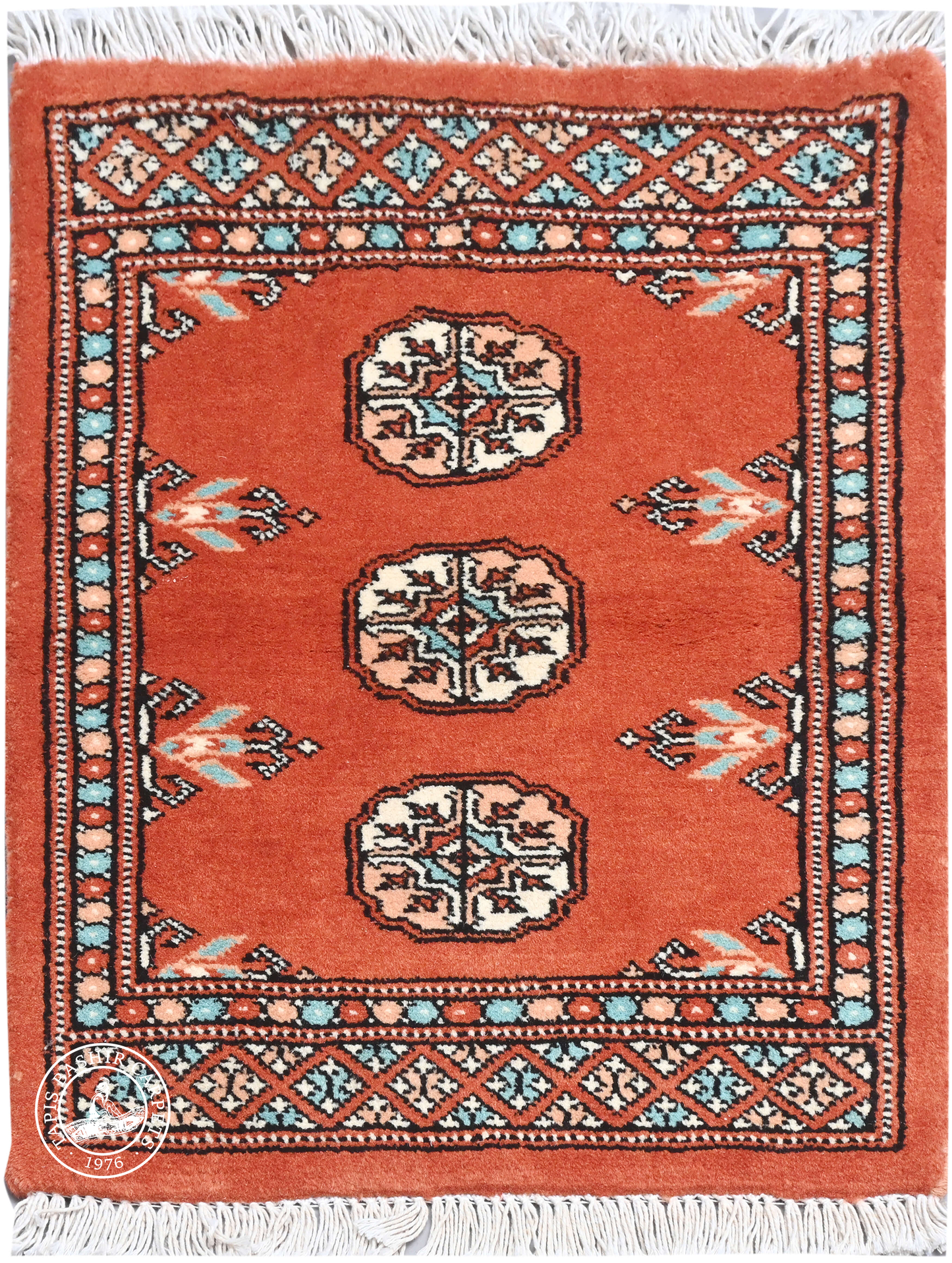 Bokhara Mauri