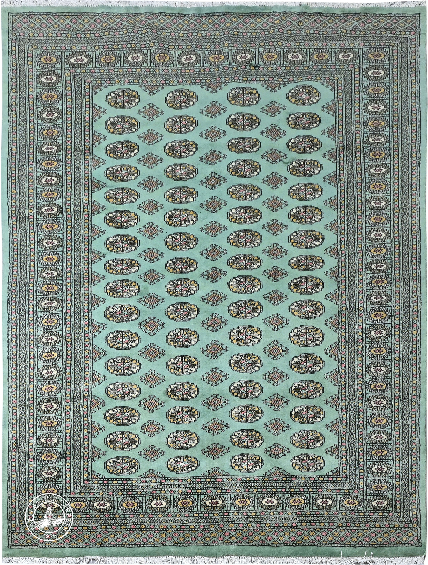 Bokhara Mauri