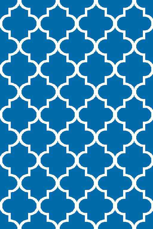 Royal Shaggy White and Dark Blue