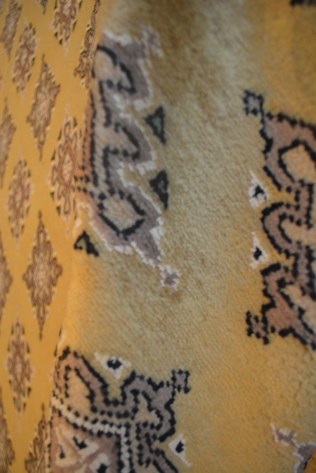 Bokhara Pende Carpet | 18' x 12' | Home Decor | Hand-knotted Wool Area Rug